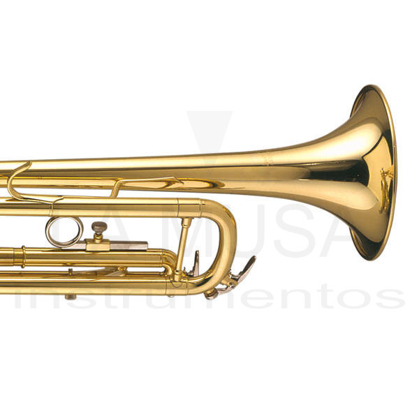 Bach 2024 tr650 trumpet